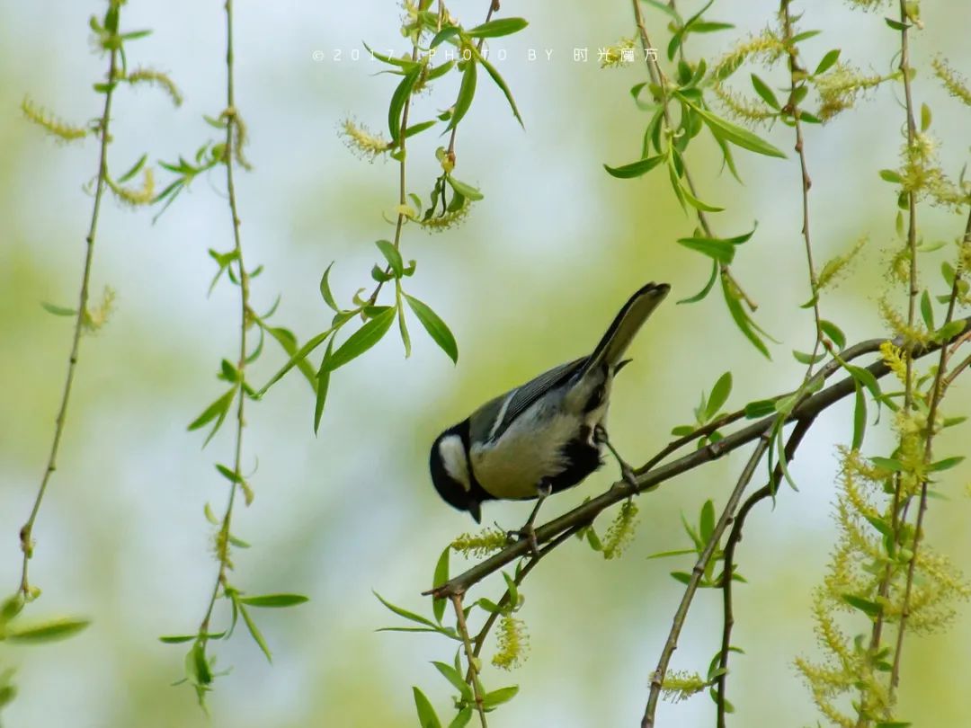 技工等級考試正在進行中